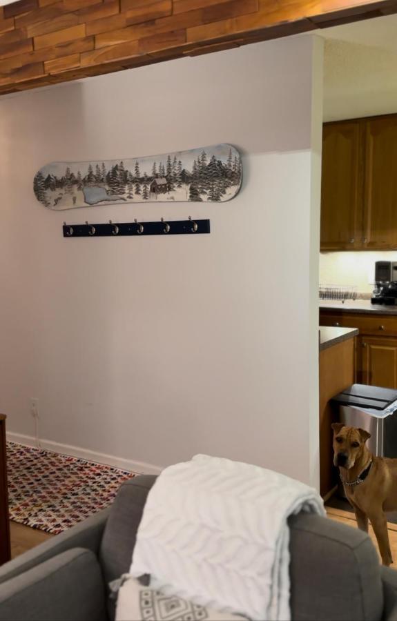 Beaver Creek 2 Bed 2 Bath Condo 1 Min Walk To Elk Lot Avon Exterior photo